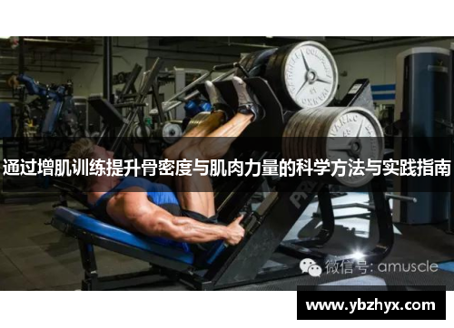 通过增肌训练提升骨密度与肌肉力量的科学方法与实践指南