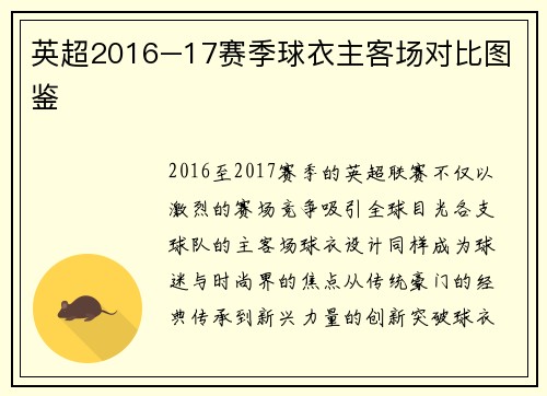 英超2016–17赛季球衣主客场对比图鉴